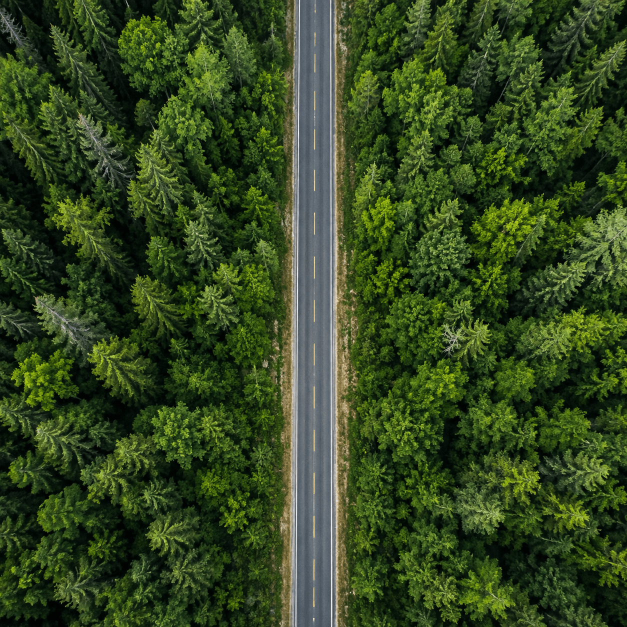 ESG and sustainability consulting services for UK businesses